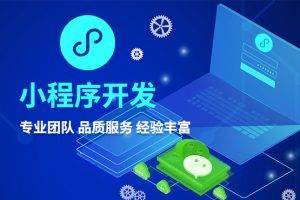 上海小程序定制开发公司