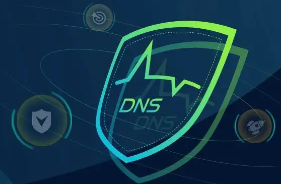 高防DNS是什么